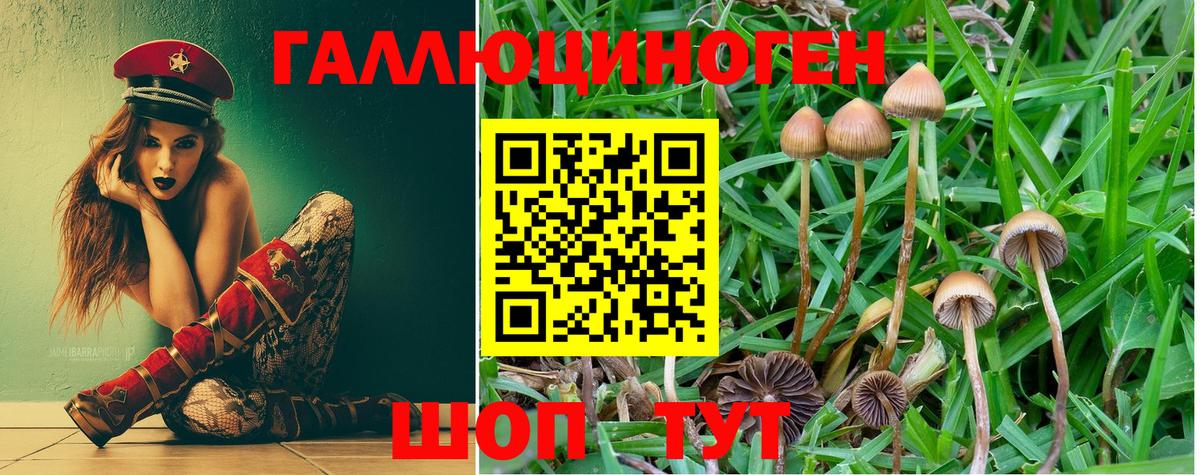 Псилоцибиновые грибы MAGIC MUSHROOMS  где купить   Боровичи  Вход с VPN 